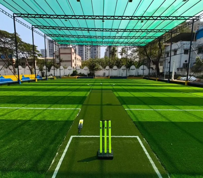 Cricket turf